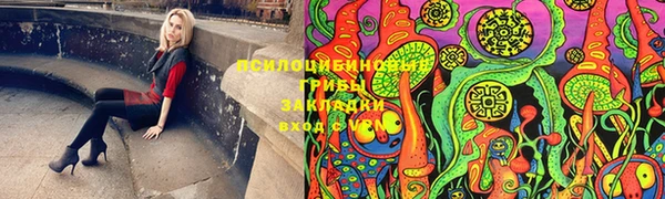 гидропоника Вяземский