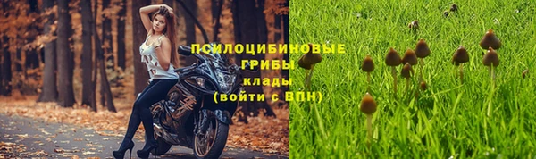гидропоника Вяземский