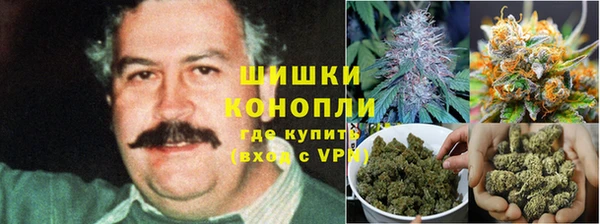 прущие крисы Горняк